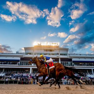 Image post by @pegasusworldcup on Instagram