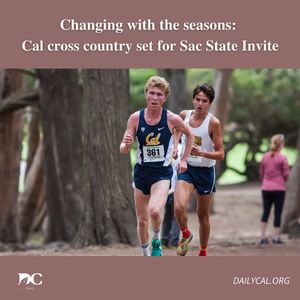 Image post by @dailycalsports on Instagram