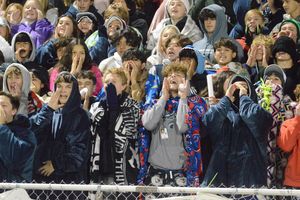 Image post by @laubhan.visuals on Instagram