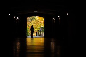 Image post by @virginia.tech on Instagram