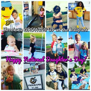 Image post by @burlington_bees on Instagram