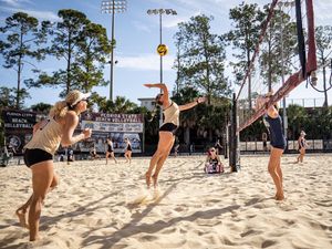 Image post by @FSU_BeachVB on Twitter