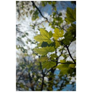 Image post by @waterworthr on Instagram