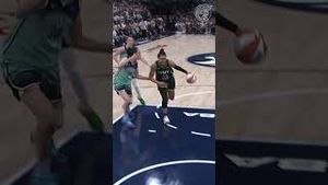 Video post by @minnesotalynx on YouTube