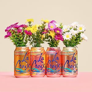 Image post by @lacroixwater on Instagram