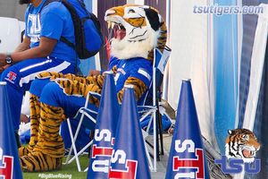 Image post by @tsutigers on Instagram