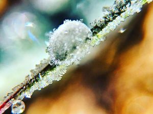 Image post by @granbyranch on Instagram