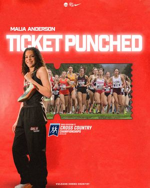 Image post by @calvulcans on Instagram