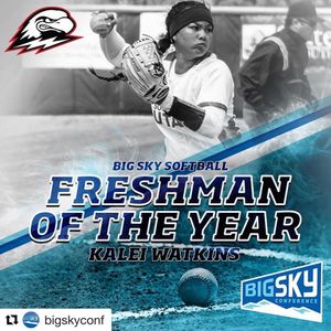 Image post by @suusoftball on Instagram