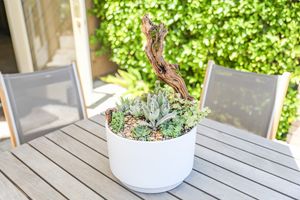 Image post by @rogersgardens on Instagram