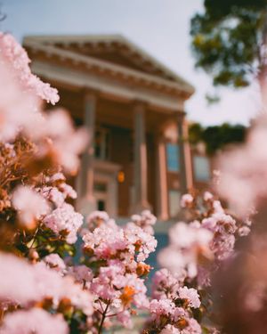 Image post by @okstatereslife on Instagram