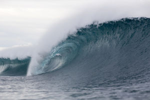 Image post by @wsl.qs on Instagram