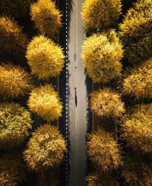 Image post by @dronepals on Instagram