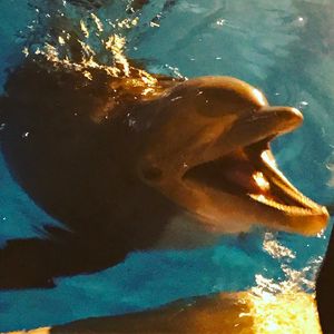 Image post by @bkboreyko on Instagram