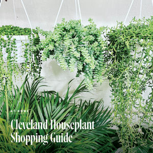 Image post by @clevelandmagazine on Instagram