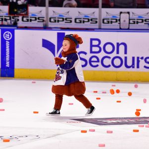 Image post by @swamprabbits on Instagram
