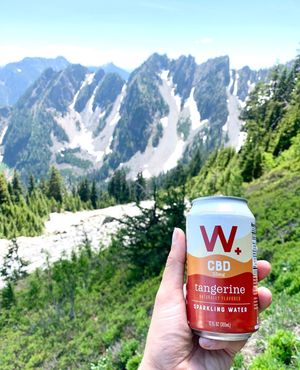 Image post by @drinkweller on Instagram