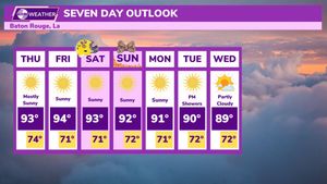 Image post by @lsutigertv on Twitter