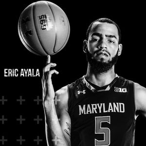 Image post by @terrapinhoops on Instagram