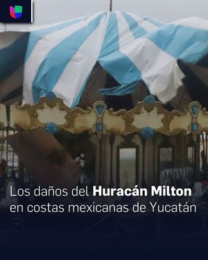 Image post by @univision23 on Instagram