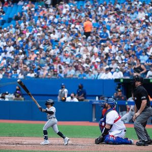 Image post by @mlb.mini on Instagram