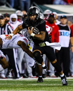 Image post by @goducks on Instagram