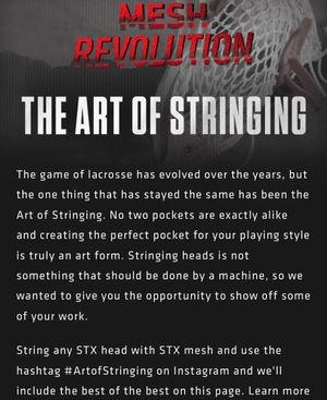 Image post by @stxmlax on Instagram