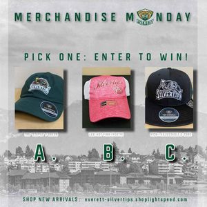 Image post by @everett_silvertips on Instagram