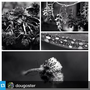 Image post by @pittsburghpg on Instagram