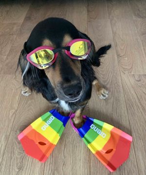 Image post by @arenausa on Instagram