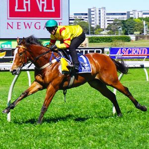 Image post by @australianturfclub on Instagram