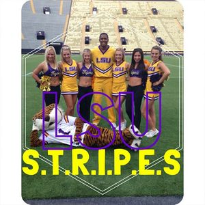 Image post by @lsutigergirls on Instagram