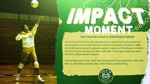 Image post by @csurams on Twitter