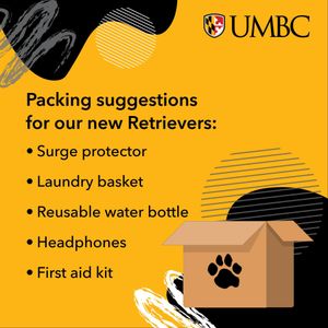 Image post by @umbclife on Instagram