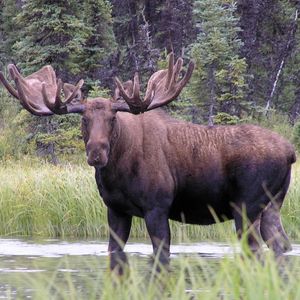 Image post by @nationalparkservice on Instagram