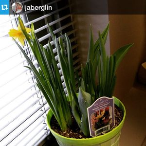 Image post by @shopbachmans on Instagram