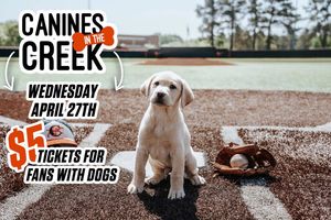 Image post by @gocamelsbsb on Instagram
