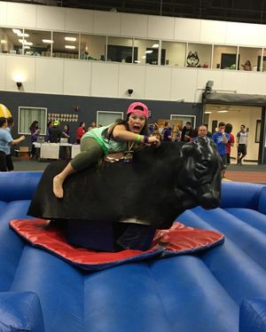 Image post by @huskython on Instagram