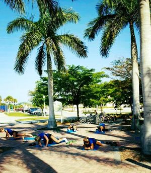 Image post by @fgcu_vb on Instagram