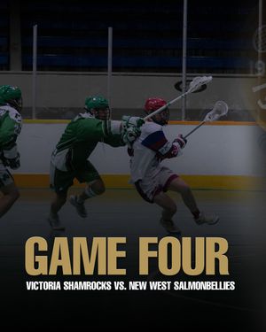 Image post by @wlalacrosse on Instagram