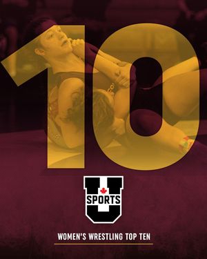 Image post by @the_stingers on Instagram