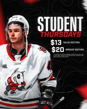 Image post by @ohlicedogs on Instagram