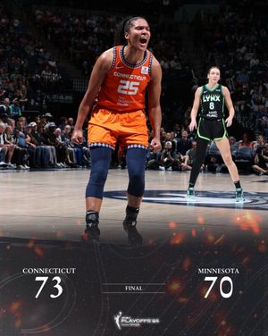 Image post by @ConnecticutSun on Twitter