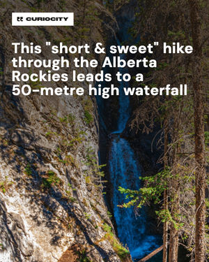 Image post by @curiocitycalgary on Instagram