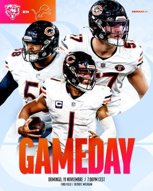 Image post by @bears_es on Instagram
