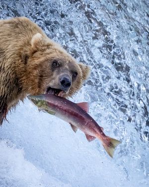 Image post by @nationalparkspartnership on Instagram