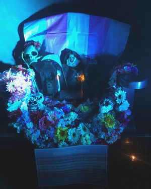 Image post by @tradedenver on Instagram