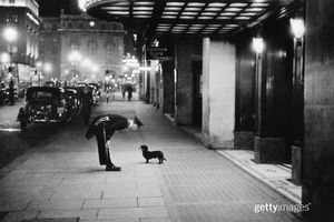 Image post by @gettyimages on Instagram