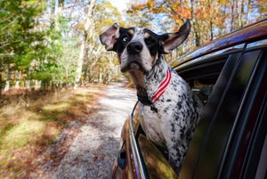 Image post by @jonathn_roberts on Instagram