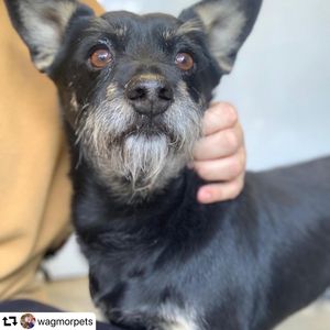 Image post by @ellendegeneres on Instagram